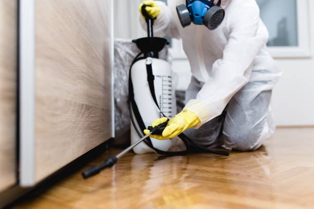 Best Mosquito Control Services  in Sparks, TX