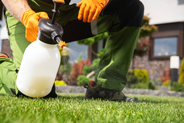 Best Pest Prevention Services  in Sparks, TX