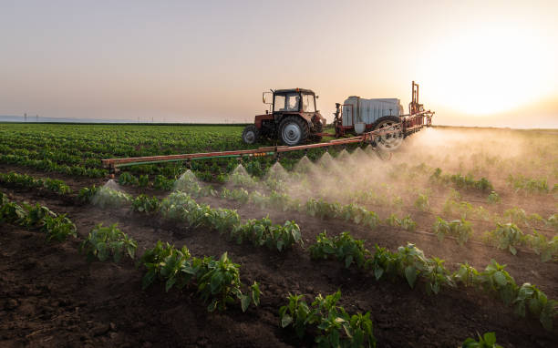 Best Commercial Pest Control Services  in Sparks, TX