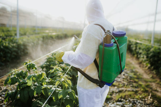 Best Insect Control  in Sparks, TX
